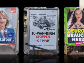 Mirjana Tomic zeigt österreichische Wahlkampfplakate während eines Webinars